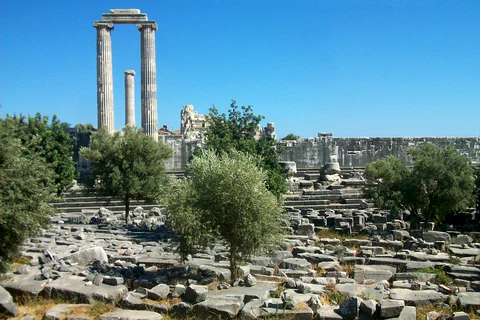 Aydın - Didim Apollon Tapınağı